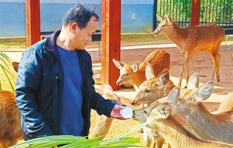 量发展产业调研】林下生金不朽情缘手机网站【高质(图2)